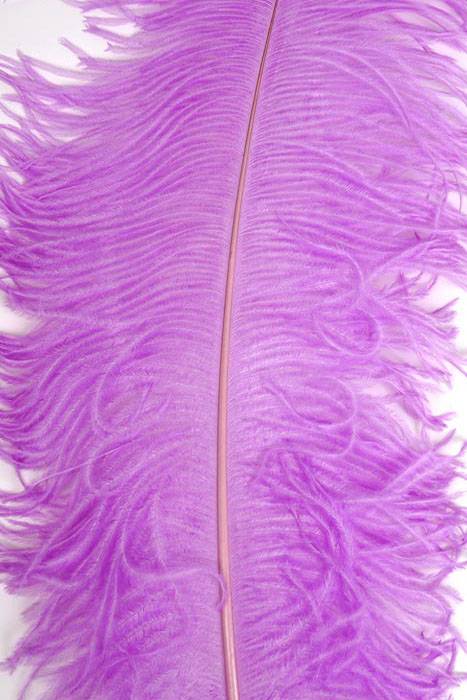22"-26" Ostrich Feather Lavender Pkg/6