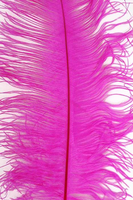 22"-26" Ostrich Feather Hot Pink Pkg/6