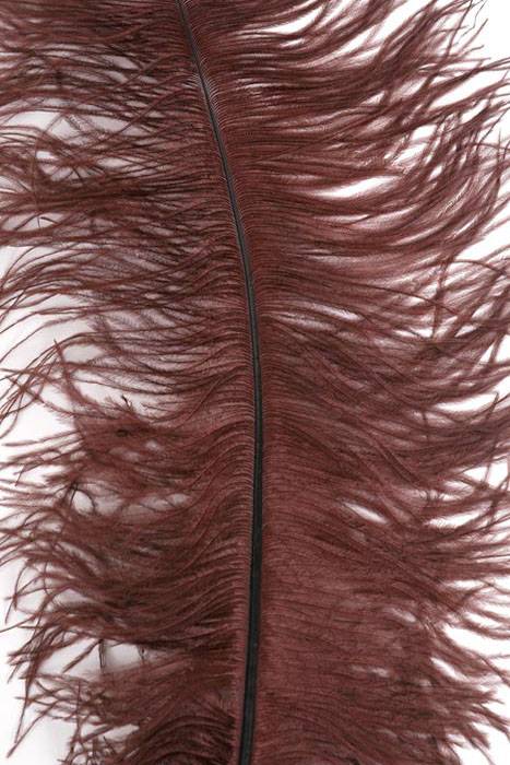 22"-26" Ostrich Feather Brown Pkg/6
