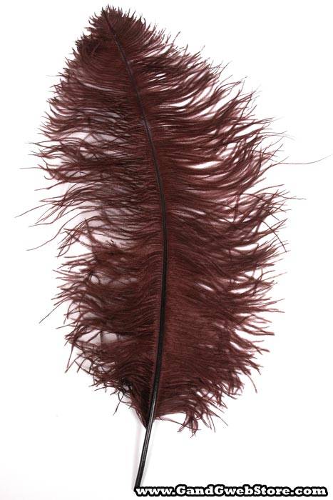 22"-26" Ostrich Feather Brown Pkg/6