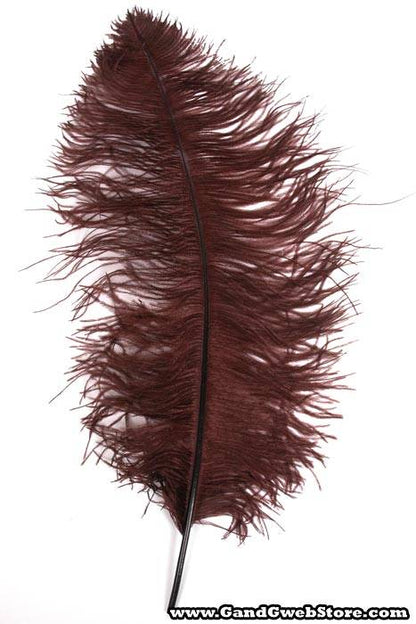 22"-26" Ostrich Feather Brown Pkg/6