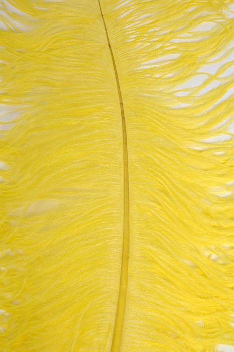 22"-26" Ostrich Feather Yellow Pkg/6