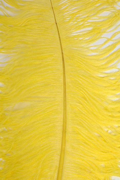 22"-26" Ostrich Feather Yellow Pkg/6