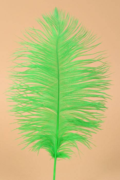 12" - 14" Ostrich Feather Kelly Green Pkg/12