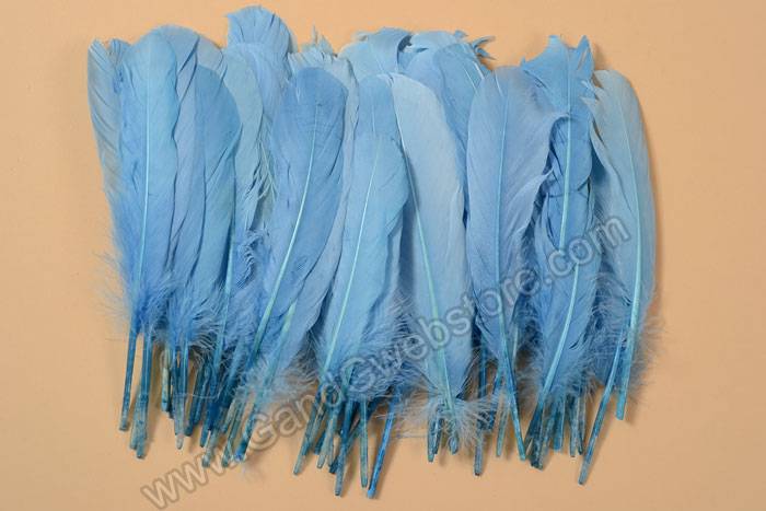 6" - 8" Goose Feather Light Blue Pkg/50
