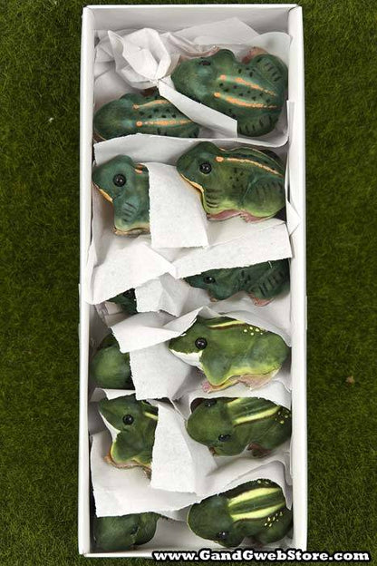 2.5" Craft Frog Green Pkg/12