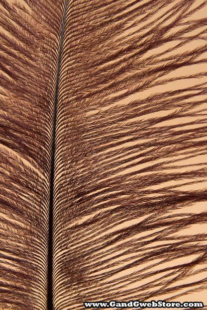 12" - 14" Ostrich Feather Wine Pkg/12