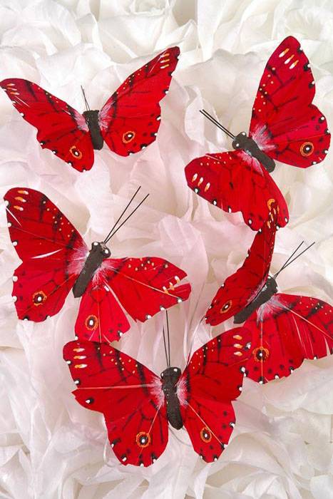 3&quot; Butterfly Red Pkg/12