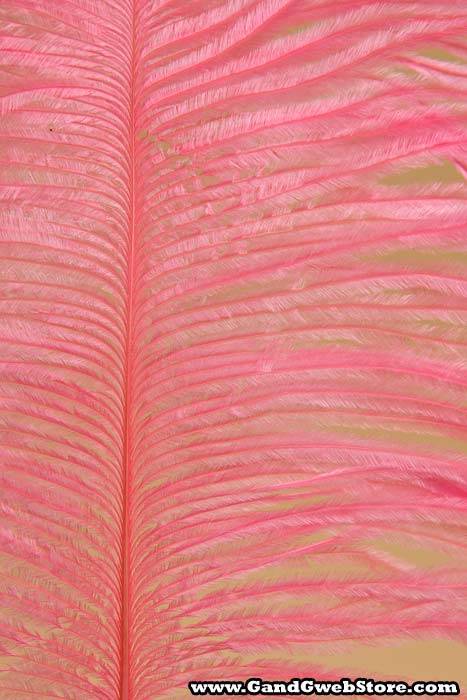 12" - 14" Ostrich Feather Light Pink Pkg/12