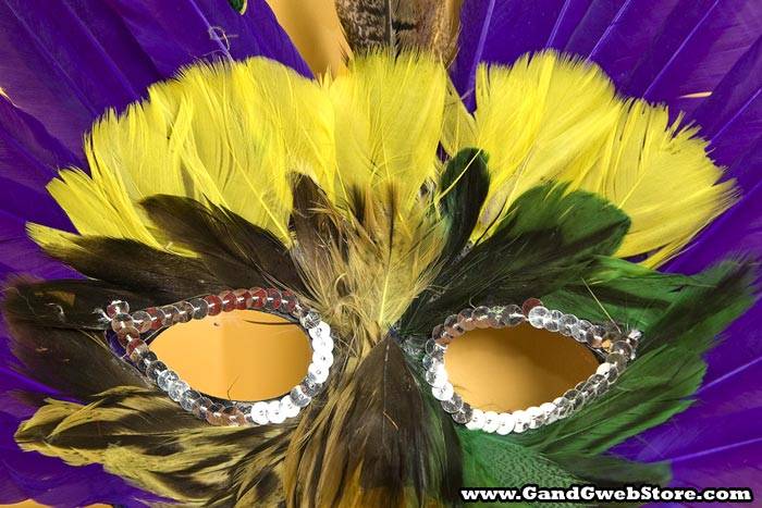 Feather Mask Purple/green/yellow