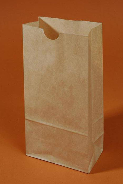 5" X 3" X 9.75" Bagz For Fun Natural Pkg/100