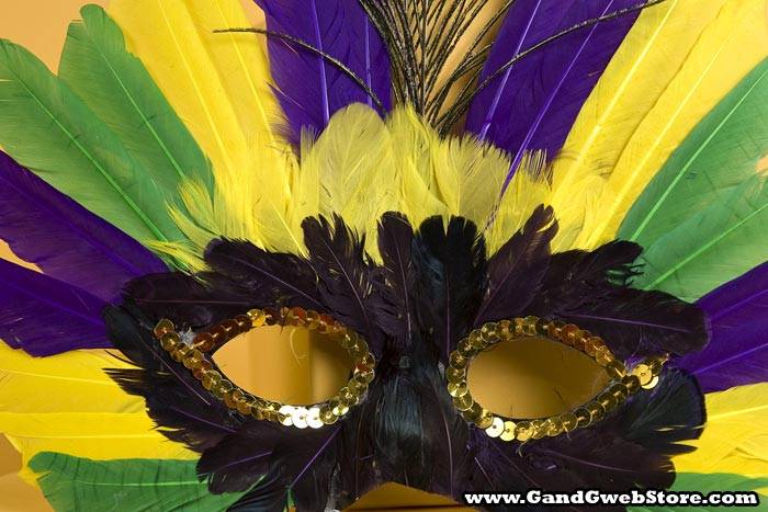 Feather Mask Yellow/purple/green