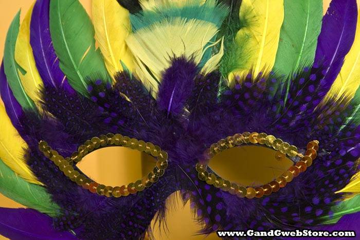 Feather Mask Purple/green/yellow