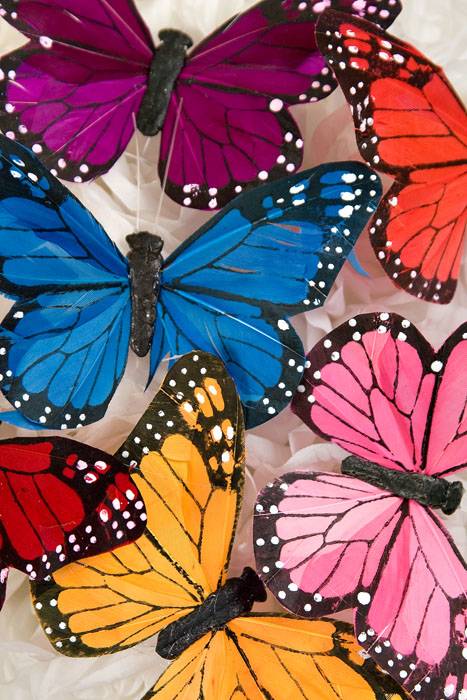 5&quot; Butterfly Assorted Pkg/12