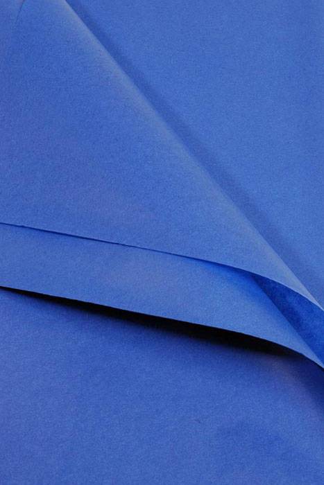 20" X 30" Tissue Paper Parade Blue
