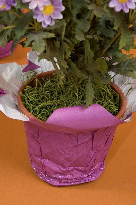 Speedy Covers Orchid Pkg/10