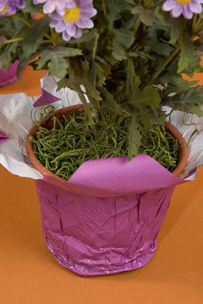 Speedy Covers Orchid Pkg/10