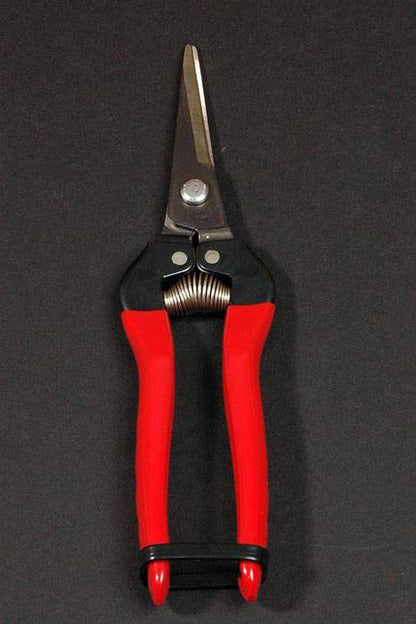 7.5" Fruit Pruner