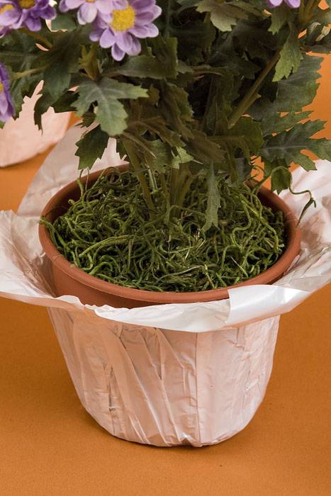 Speedy Covers White Pkg/10