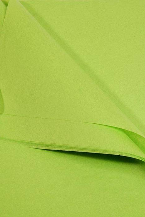 20" X 30" Tissue Paper Citrus Green