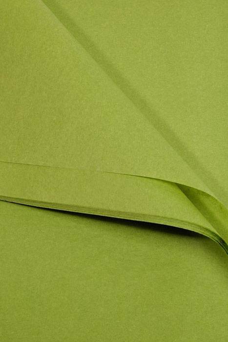 20" X 30" Tissue Paper Aloe Pkg/24