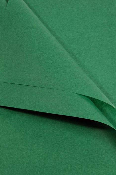 20" X 30" Tissue Paper Holiday Green