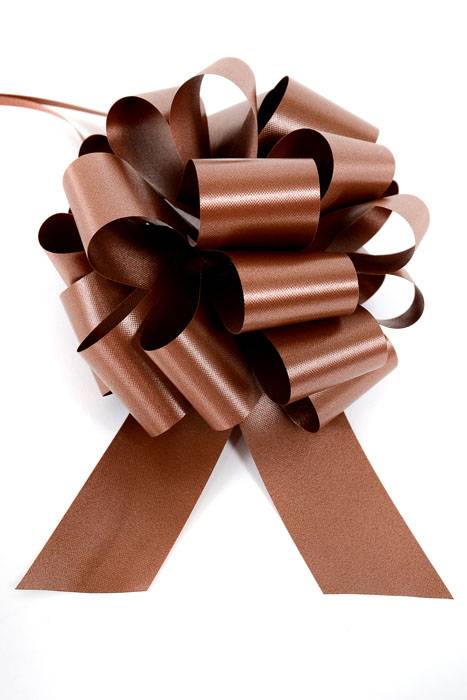Perfect Bow Pull Ribbon Pkg/10 Chocolate