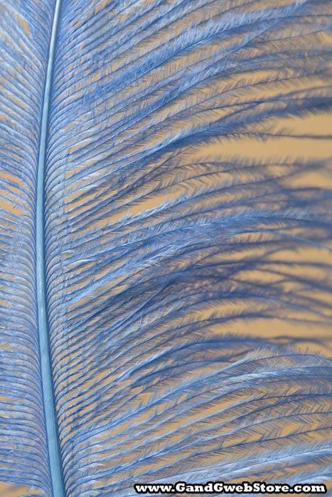 18"-22" Ostrich Feather Lt.blue Pkg/12