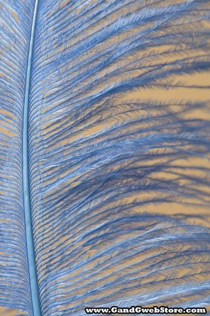 18"-22" Ostrich Feather Lt.blue Pkg/12