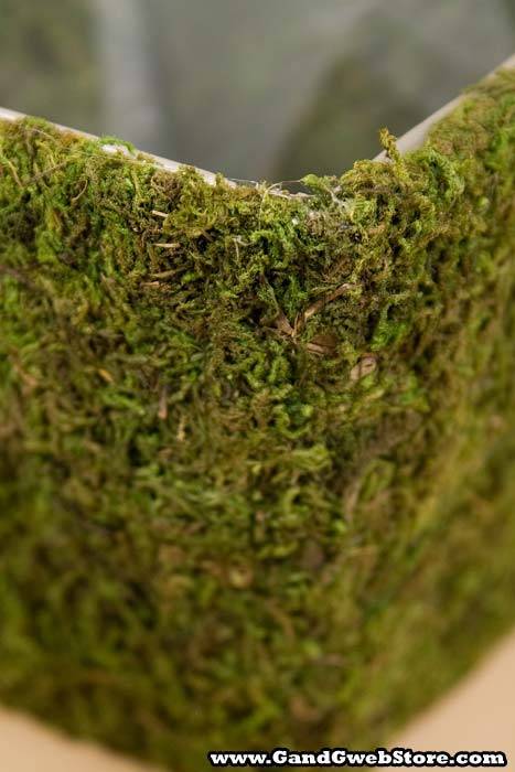 Moss Planter Square Green Set/4