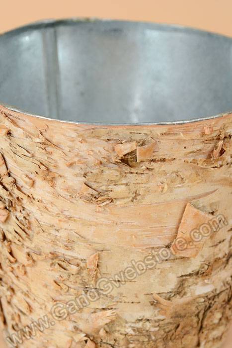 5.5" X 5" Birch Pot W/zinc Natural
