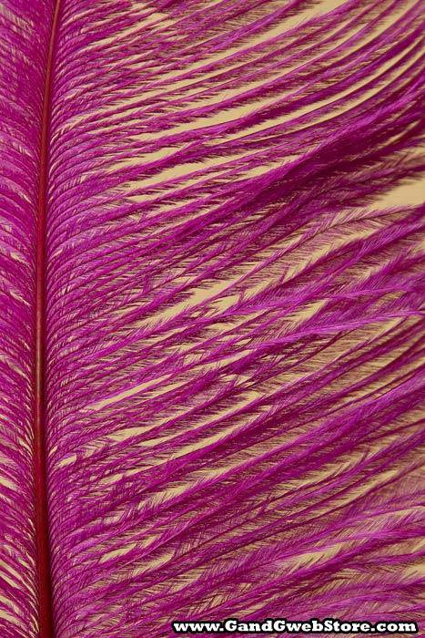 18"- 22" Single Ostrich Feather Fuchsia