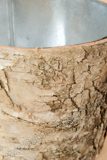 7" X 5.5" Birch Pot W/zinc (Natural)