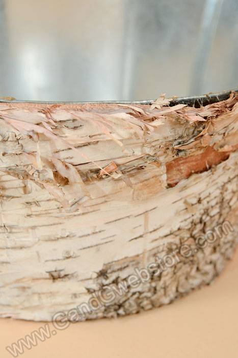 8" X 3.5" Birch Pot W/zinc Natural