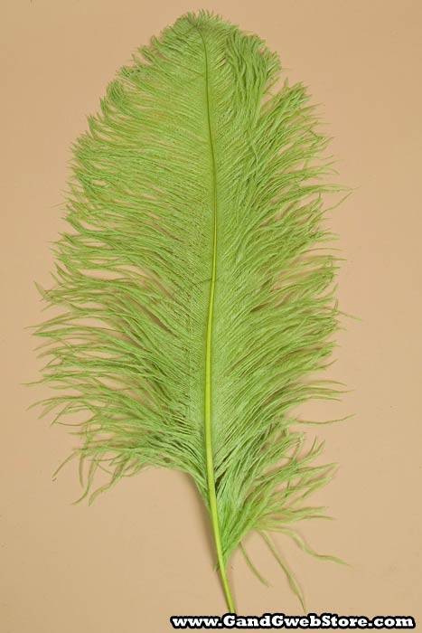 18"-22" Ostrich Feather Lime Pkg/12