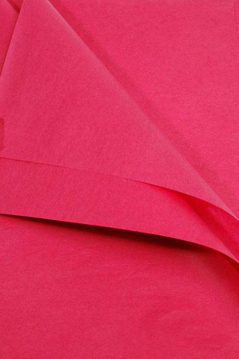 20" X 30" Tissue Paper Boysenberry Pkg/24