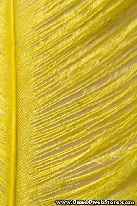 18"-22" Ostrich Feather Yellow Pkg/12