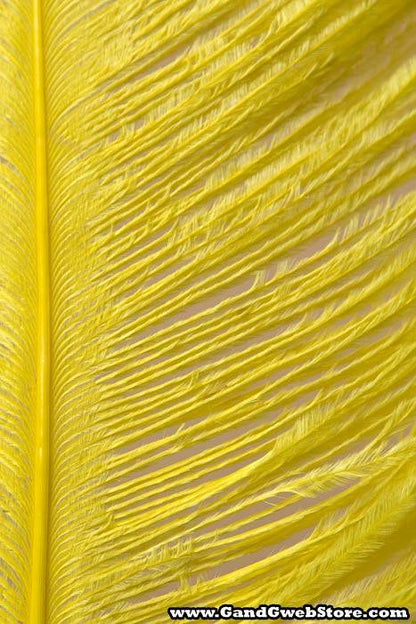 18"- 22" Single Ostrich Feather Yellow