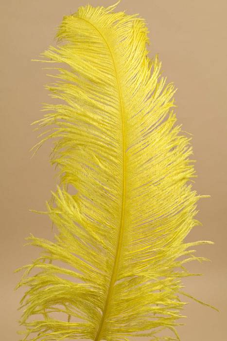 18"- 22" Single Ostrich Feather Yellow