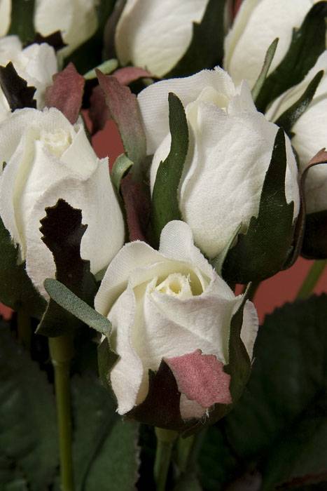 8.5" Planter Rose Bud Pick White Pkg/12
