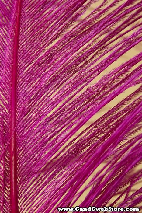 14"-16" Single Ostrich Feather Fuchsia