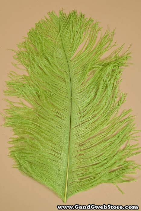 14&quot;-16&quot; Ostrich Feather Lime Pkg/12