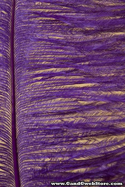 14"-16" Single Ostrich Feather Purple