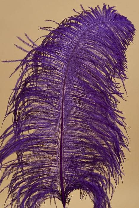 14"-16" Single Ostrich Feather Purple