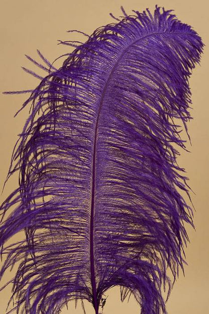 14"-16" Single Ostrich Feather Purple