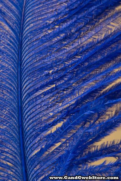 14"-16" Ostrich Feather Royal Blue Pkg/12