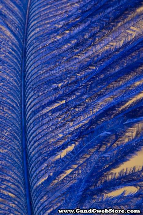 14"-16" Single Ostrich Feather Royal Blue