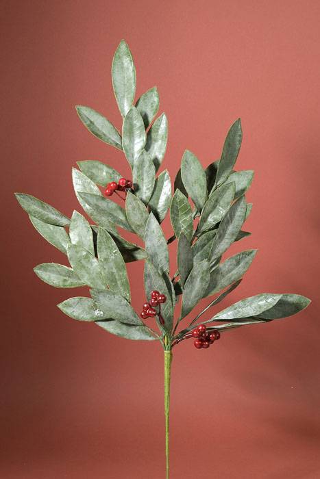 23" Bay Leaf W/ Red Berries Spray Matte (Green)