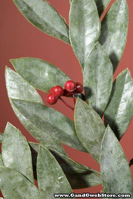 23" Bay Leaf W/ Red Berries Spray Matte (Green)