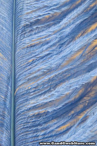 14"-16" Single Ostrich Feather Light Blue